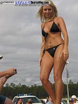 springfling Show Images Page 4